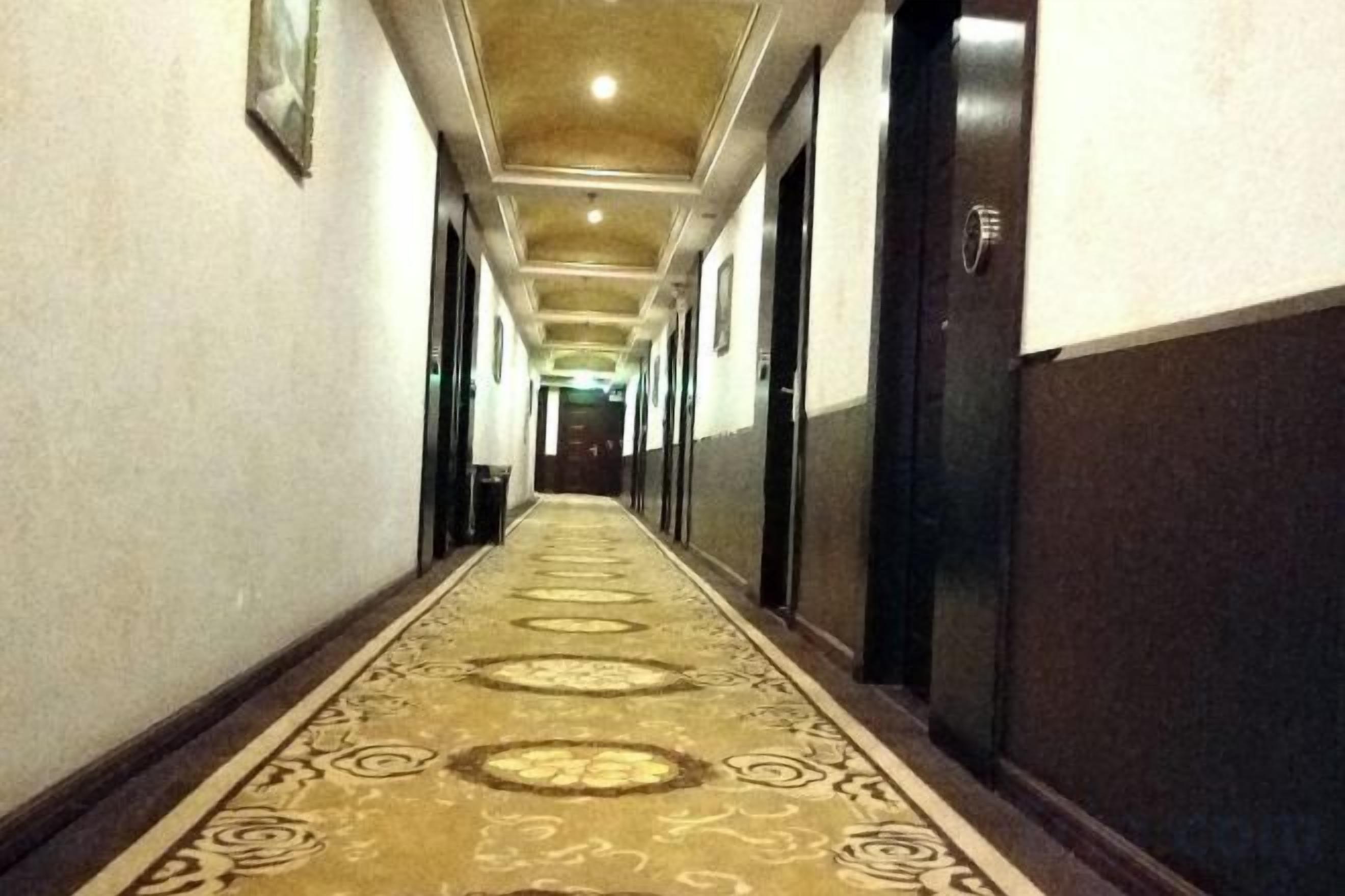 A hotel corridor with a patterned carpet, doors on both sides, and a ceiling with recessed lighting.