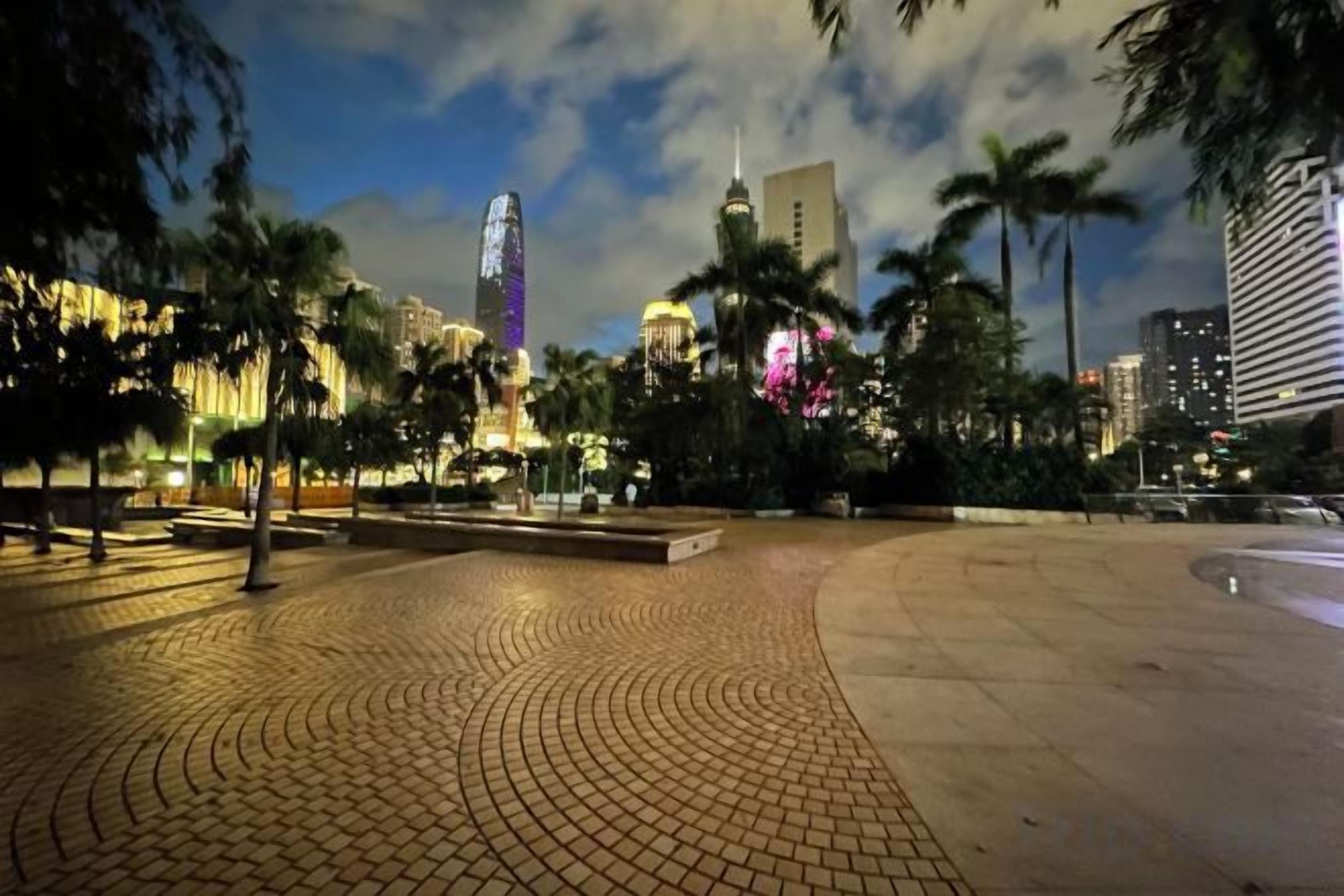 A paved plaza with palm trees and a city skyline in the background.
