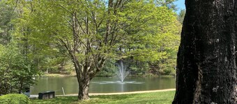 Lakefront Condo  Historic Flat Rock at Mill House Lodge Sleeps 2 Newly Renovated