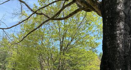 Lakefront Condo Historic Flat Rock at Mill House Lodge Sleeps 2 Newly Renovated