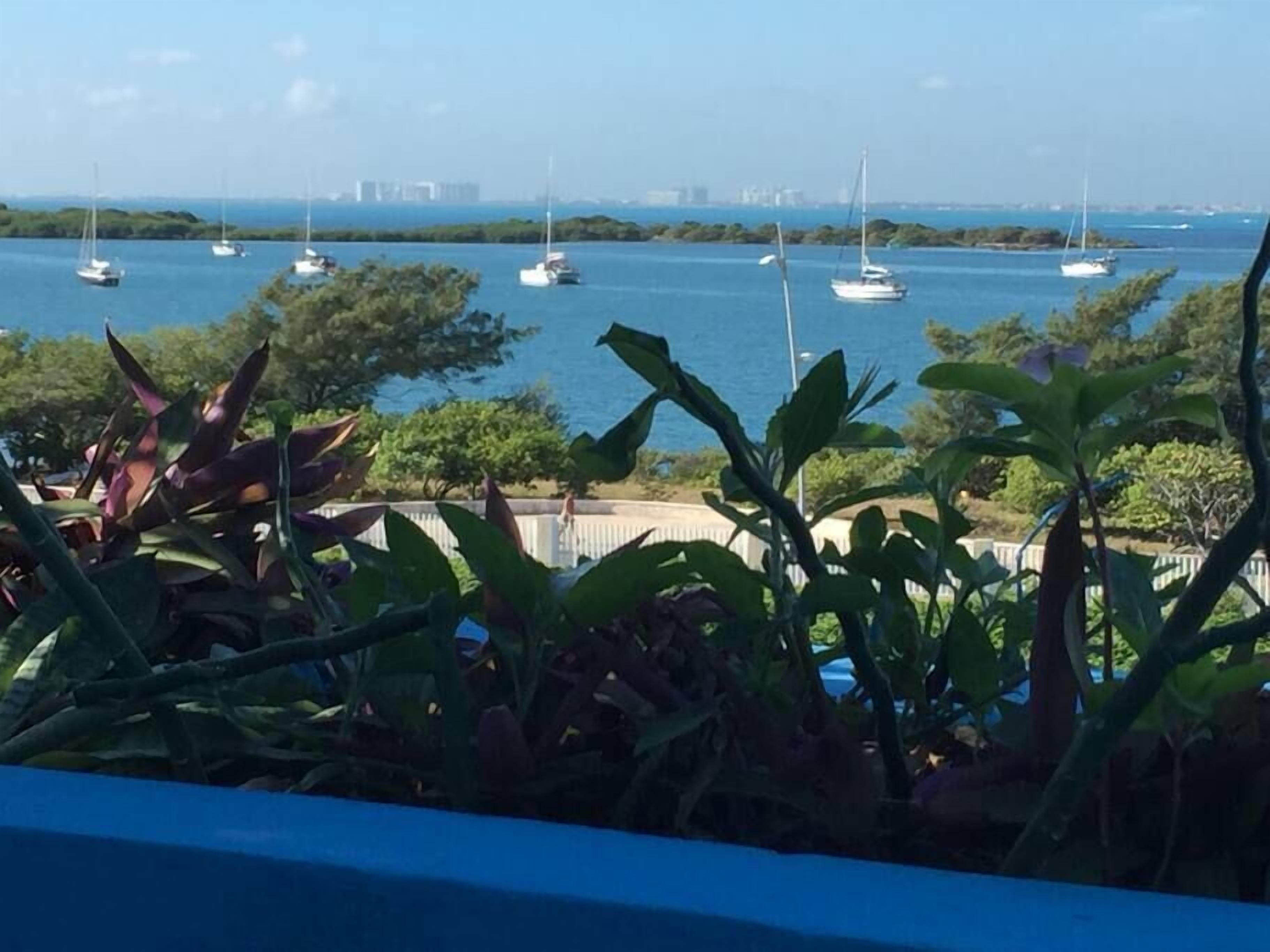 Une vue d’une marina où sont amarrés de nombreux voiliers, le tout entouré de verdure et avec une vue lointaine sur la ville.