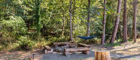 A forested campsite with a hammock, a fire pit, and a large tree stump.