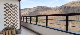 One Bedroom with Mountain View