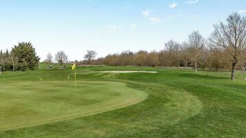 A golf course with a flag, sand bunkers, and trees.