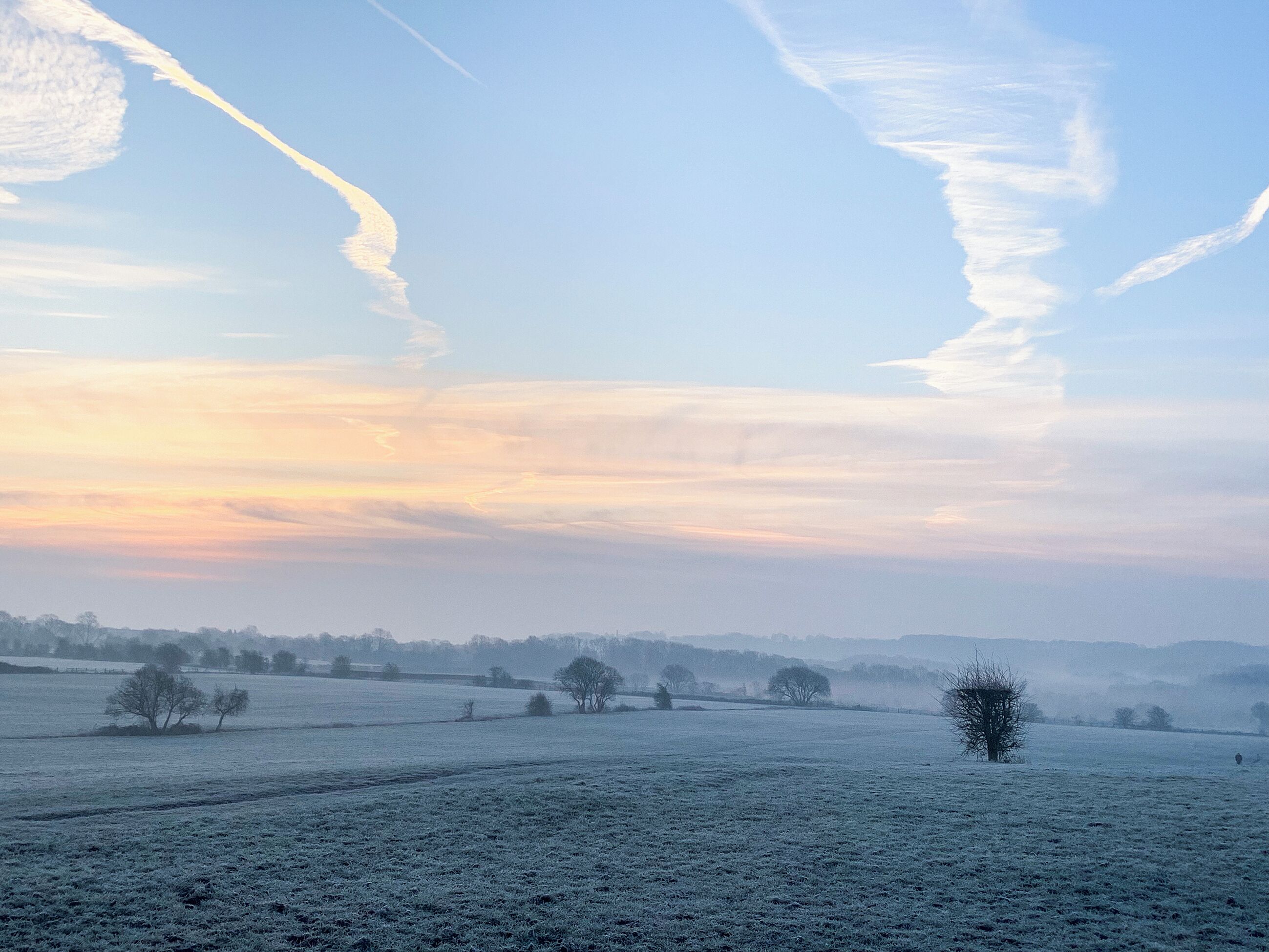 A frost-covered field with trees and a clear sky.