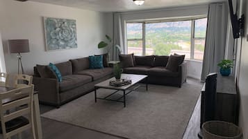 Smart TV, fireplace, books