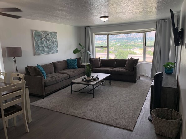 Smart TV, fireplace, books