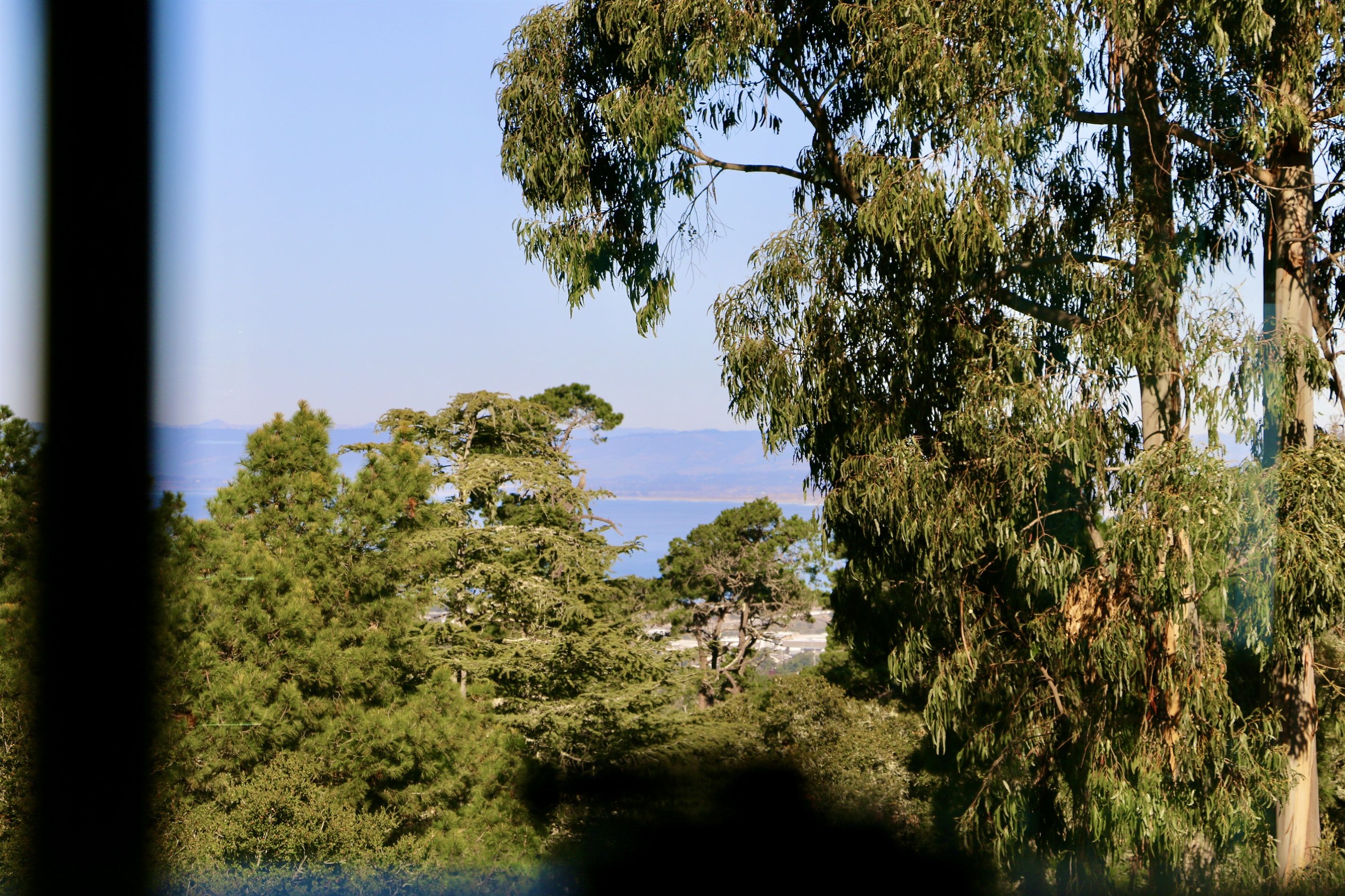Vista de una zona costera con abundante vegetación y una vista despejada del mar.