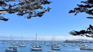 A marina with numerous sailboats docked, surrounded by rocky terrain and trees. - Romantic Carmel Cottage: Ocean & Country Views (Carmel)