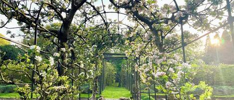 Overnatningsstedets område