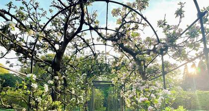 Garden Cottage 2 - UK42882