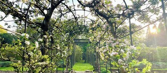 Garden Cottage 2 - UK42882