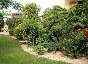 Terrein van de accommodatie