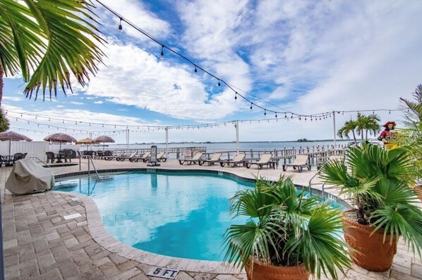 Pool - Dunedin Condo on the Water (Dunedin)