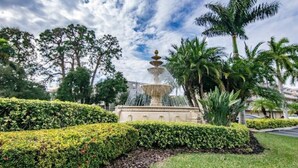A fountain with multiple tiers, surrounded by well-maintained hedges and palm trees, set against a partly cloudy sky. - Dunedin Condo on the Water (Dunedin)