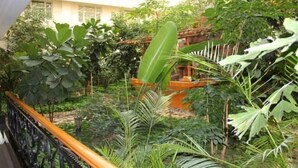 An indoor garden with various plants and a wooden railing. - Yangfang Dadu Hotel (Beijing)