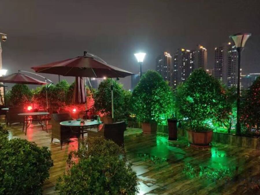An outdoor patio area with tables and umbrellas, surrounded by potted plants and illuminated by ambient lighting.