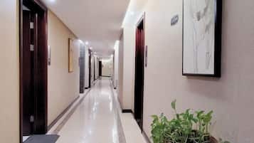 Un pasillo de hotel con puertas a ambos lados, una planta en maceta y cuadros en las paredes.