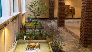 A narrow corridor with a small water feature, potted plants, and a brick column. - Qingmei Zhuma Inn (Deqing)