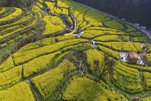 Ảnh chưa phân loại, 4 trong số 57 ảnh, nút