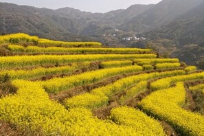Ảnh chưa phân loại, 5 trong số 57 ảnh, nút