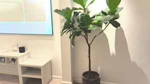 Een kamer met een wit bureau, een potplant en een wandgemonteerde beeldscherm.
