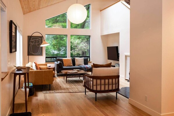 Smart TV, fireplace, books, stereo