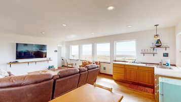 Televisión, chimenea, reproductor de DVD y libros