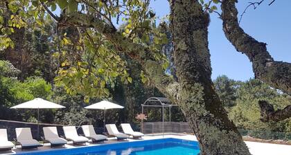 Villa 270 Deluxe Holiday Villa w/ Stunning Seaview