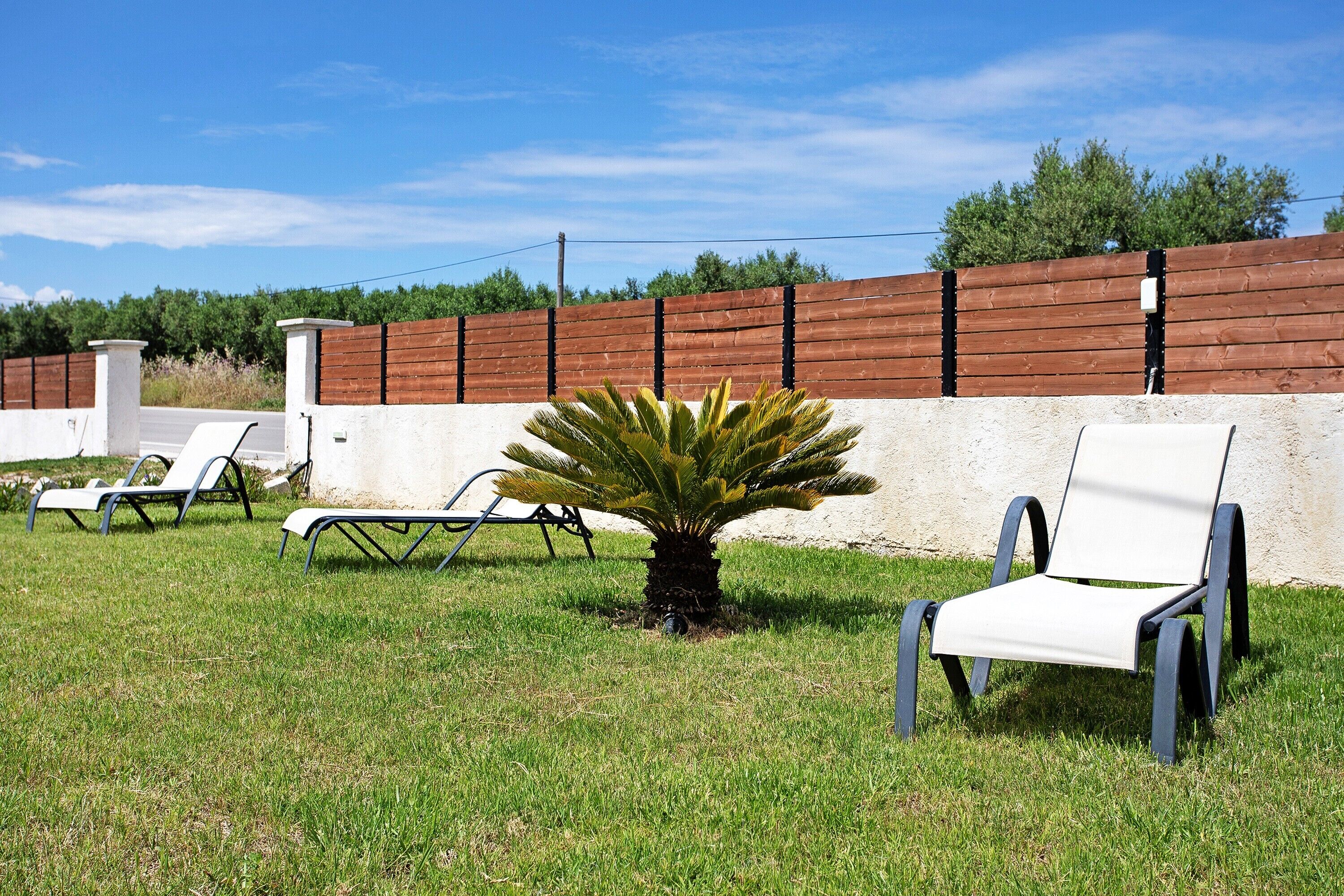 A grassy outdoor area with lounge chairs and a palm tree.