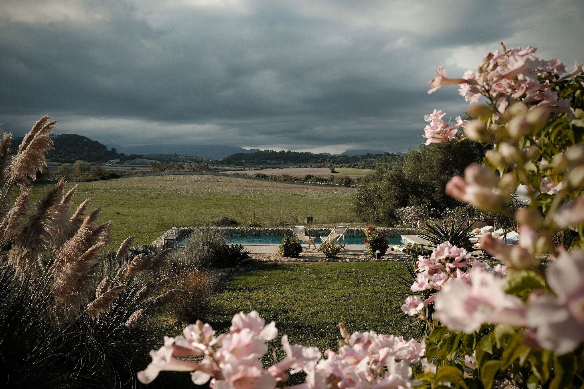 Zona de piscina con vista a un paisaje lejano, rodeada de follaje y pastos pampas.