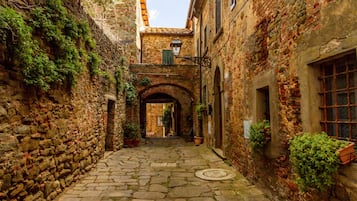 Terrein van de accommodatie