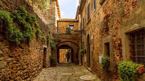 Une ruelle étroite, pavée de pierres, située entre des bâtiments dotés de portes en arc de cercle et ornés de plantes en pot.