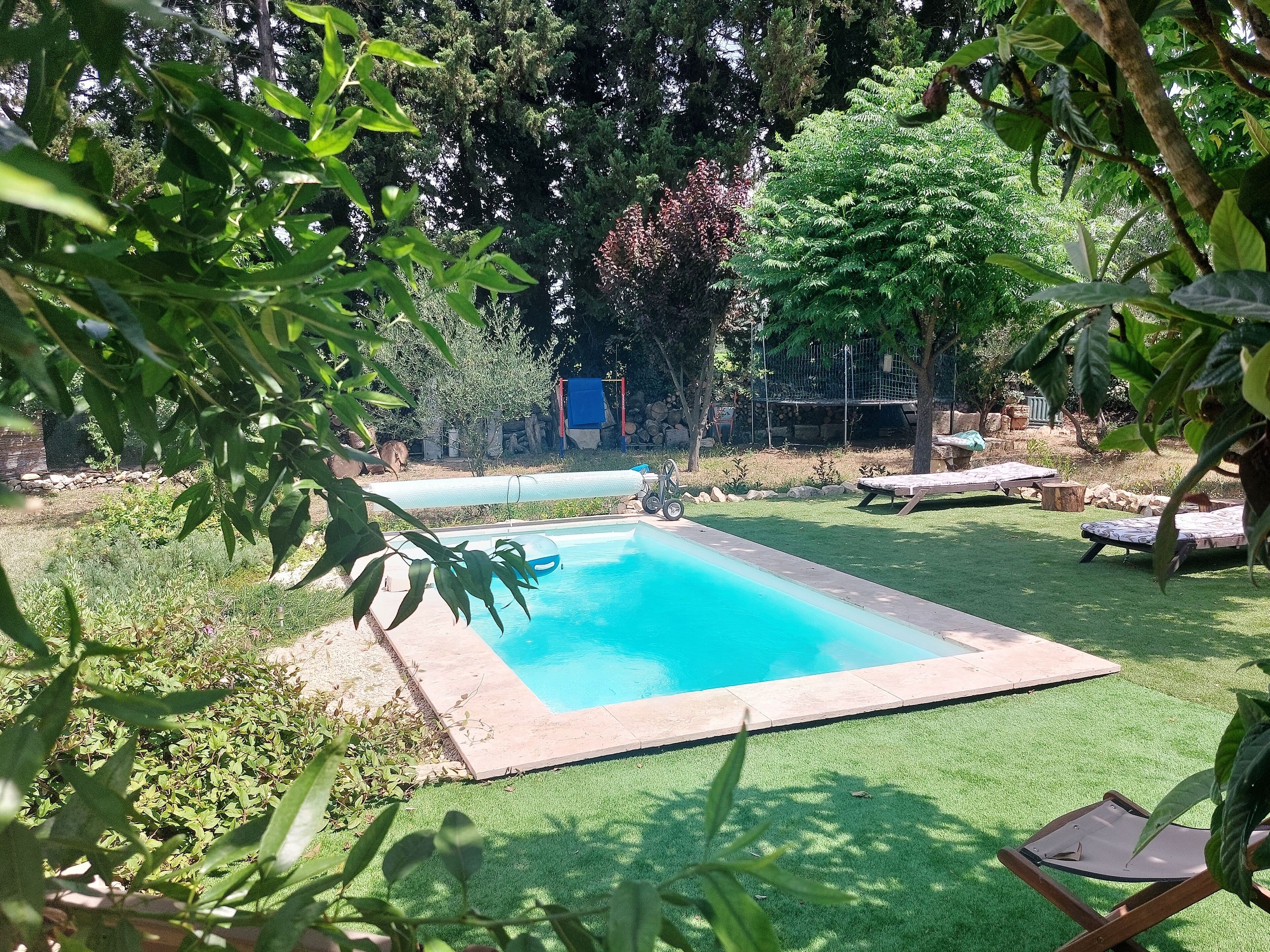 Une piscine rectangulaire bordée de carreaux, entourée d’une pelouse bien entretenue et de divers arbres.