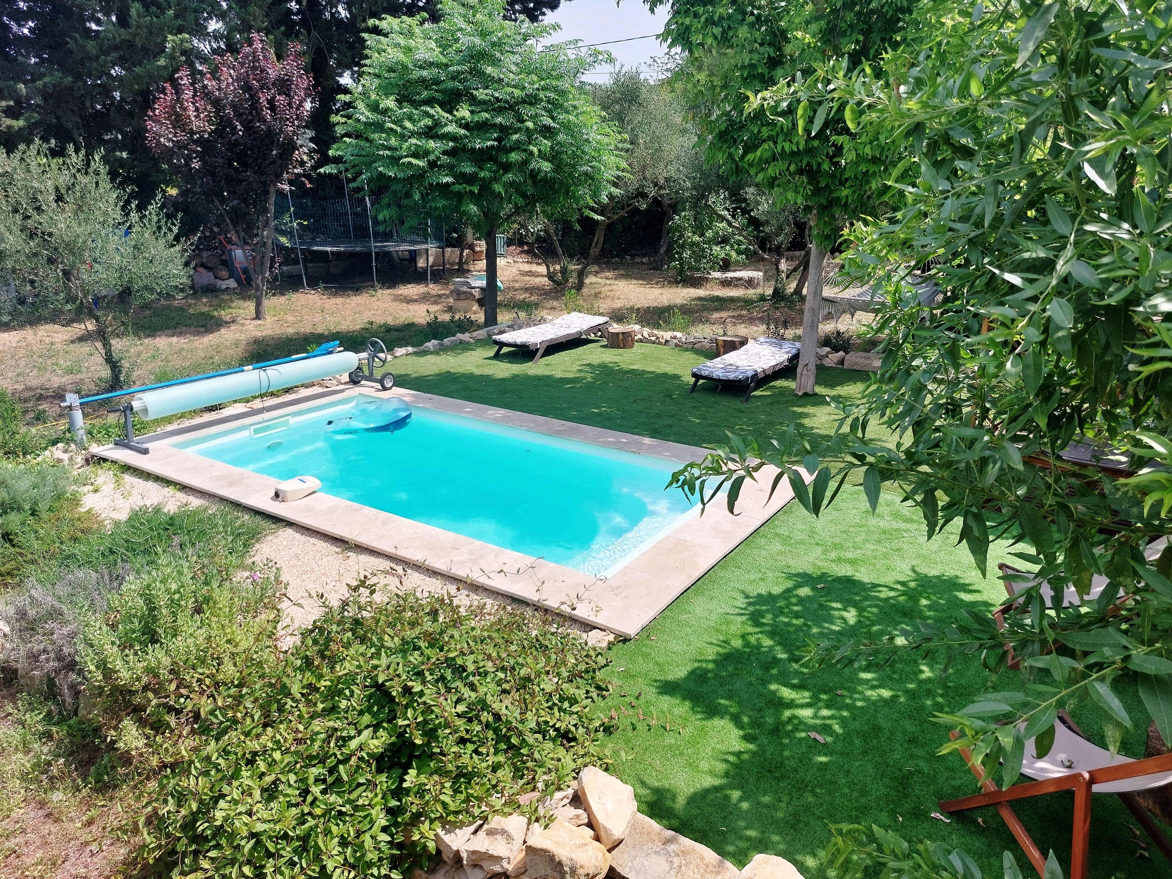 Una piscina rectangular con revestimiento azul, rodeada por un césped cuidado y varios árboles.
