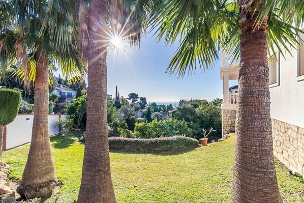 Un jardin avec des palmiers et, au loin, une vue sur des maisons.