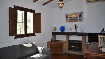 TV, fireplace