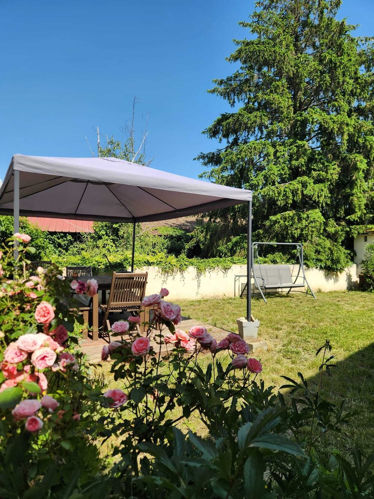 Image de profil de l’hôte