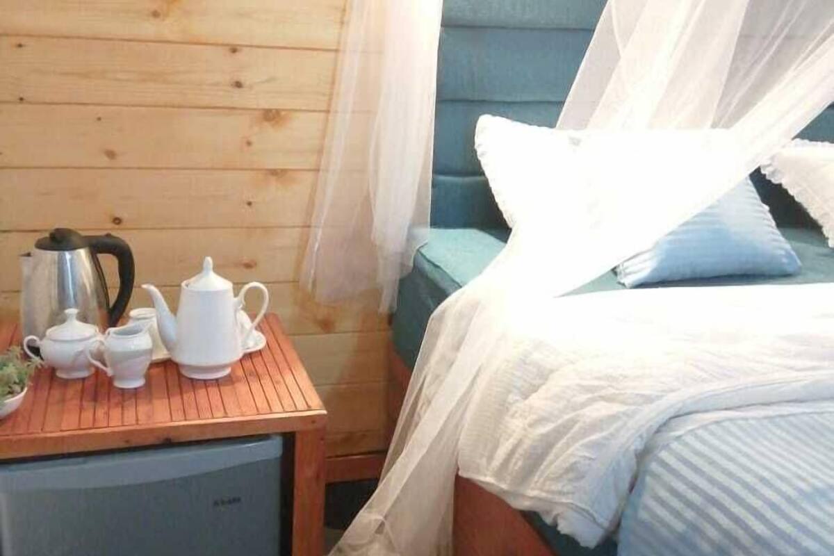Deluxe Twin Room | Iron/ironing board (on request), WiFi (free)
