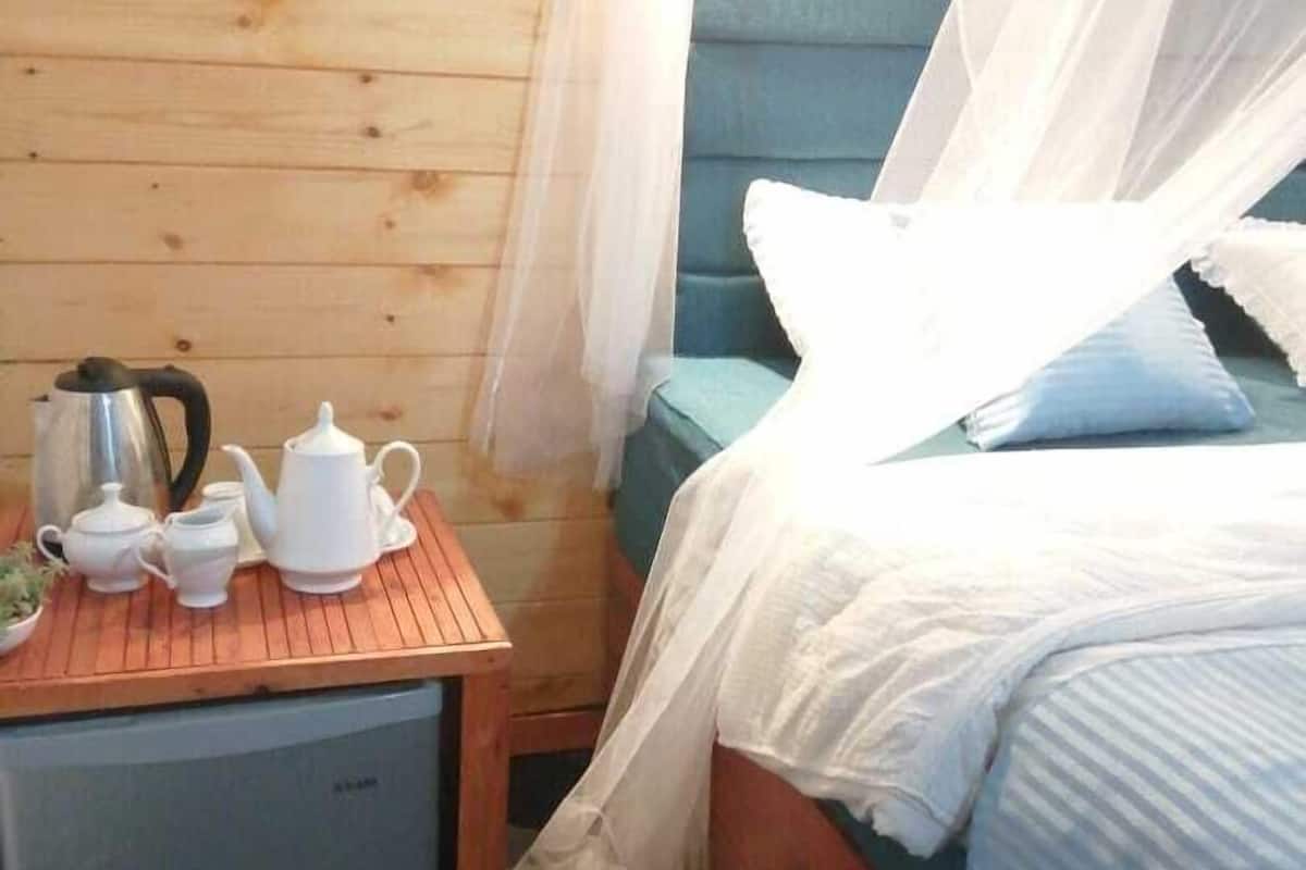 Deluxe Twin Room | Iron/ironing board, free WiFi