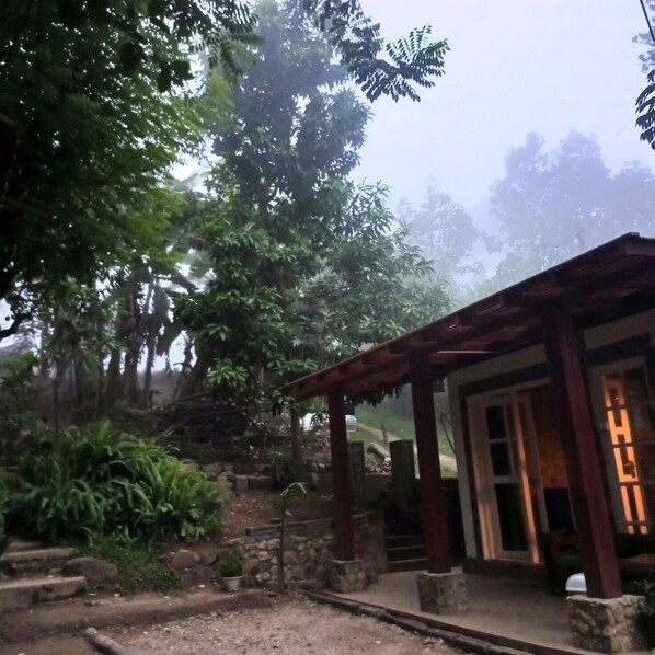 Exterior - Ella Foret (Ella)