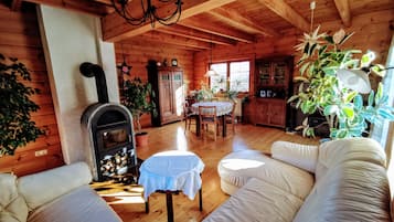 Smart TV, chimenea, libros