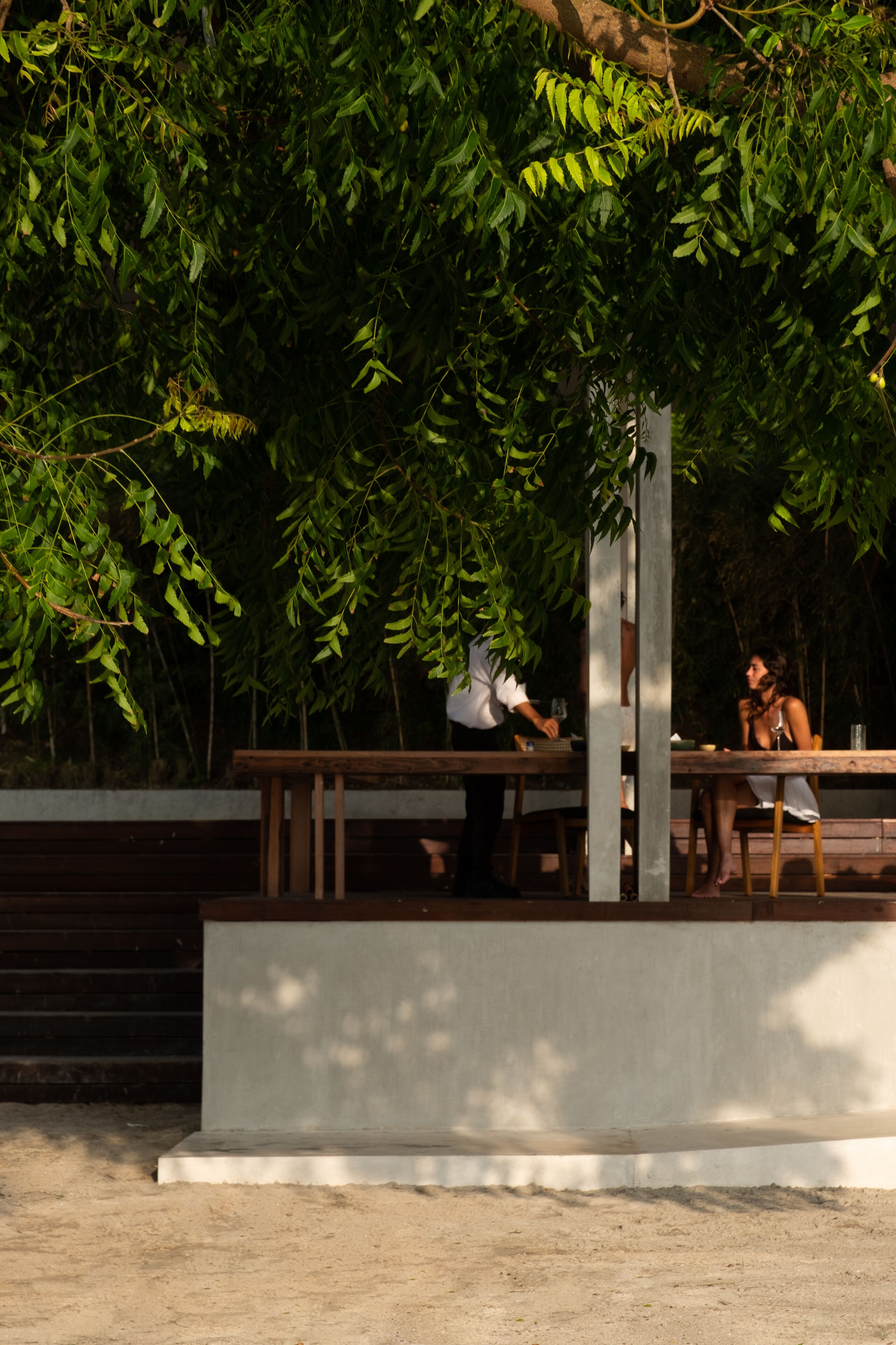 An outdoor dining area with a concrete bench and table, surrounded by dense foliage.