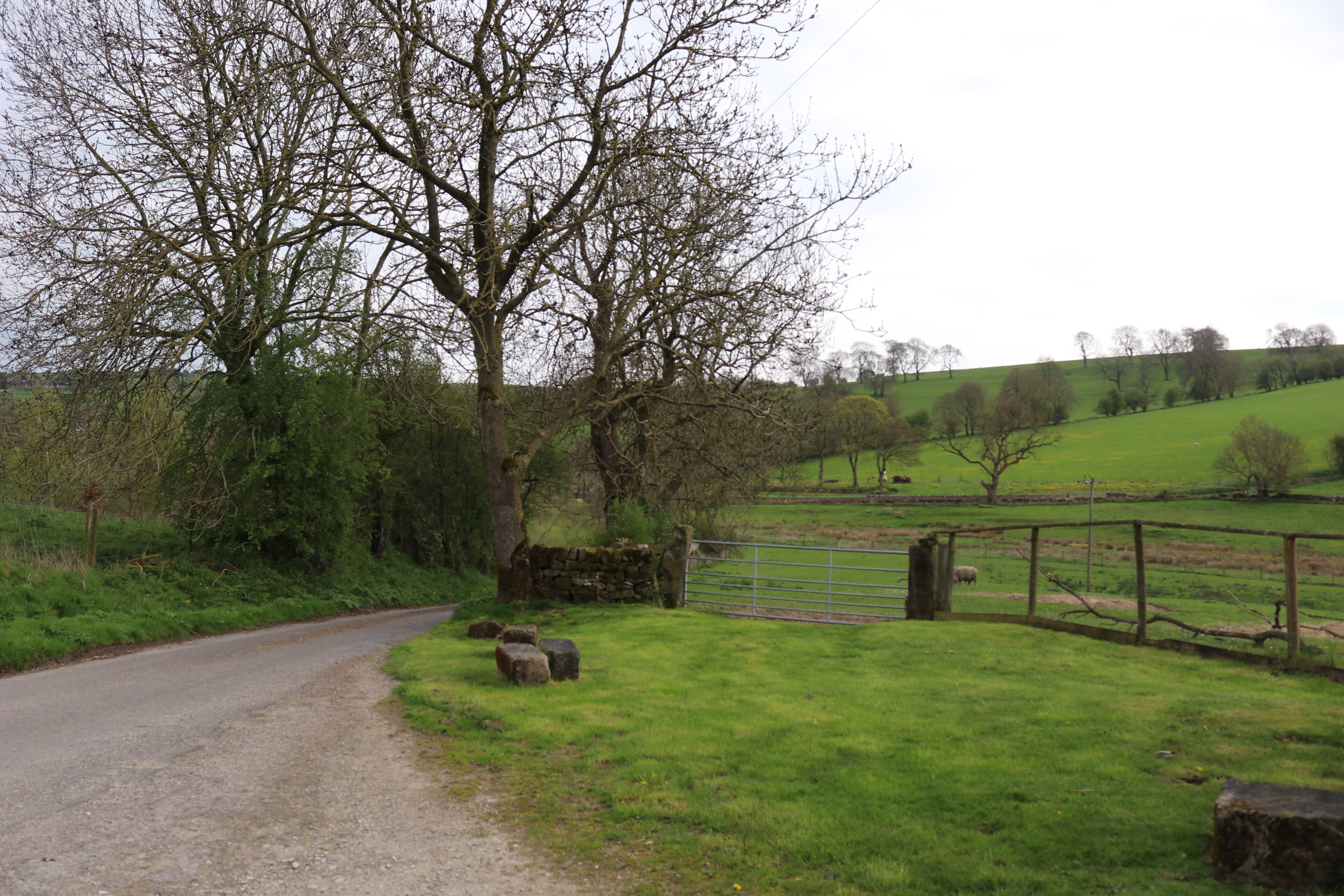A rural road with a stone wall and a metal gate.