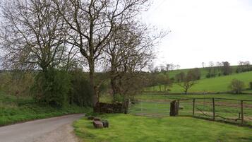 A rural road with a stone wall and a metal gate.