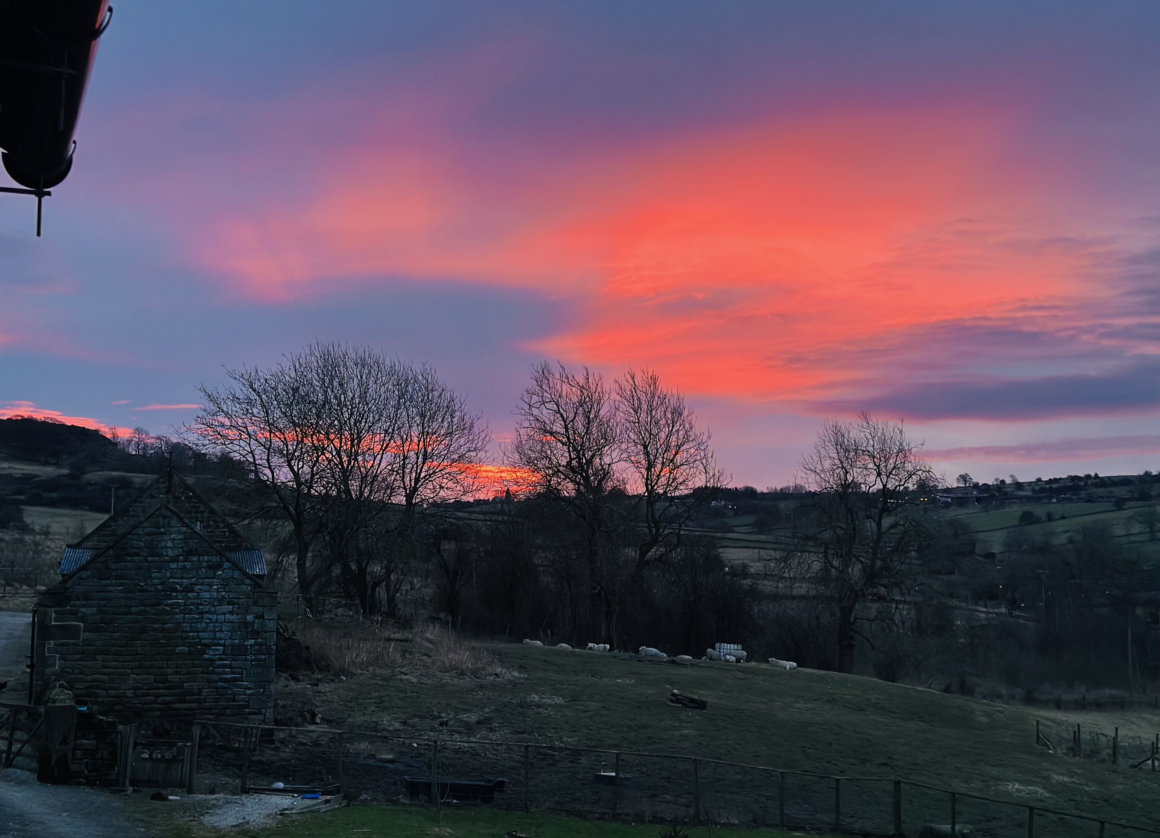 A rural landscape with a stone building, trees, and grazing sheep under a colorful sunset sky.