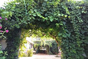 A garden with a wooden pergola covered in green foliage, leading to a brick pathway. - Yellow River Stone Forest Red Apple Ecological Garden Restaurant (Jingtai)