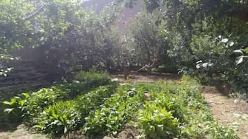 Équipement de l’hébergement