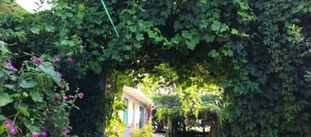 Yellow River Stone Forest Red Apple Ecological Garden Restaurant