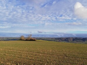 Miscellaneous - Gîte de la Maison-forte de la Mûre / BIOL-le-Haut (Biol)